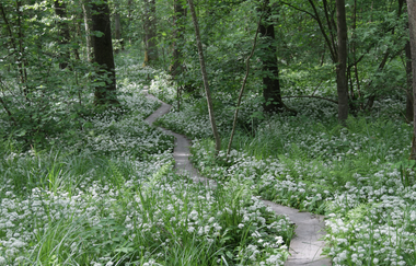 EP1 - Rund um den Ottilienberg | © Land der 1000 Hügel - Kraichgau-Stromberg