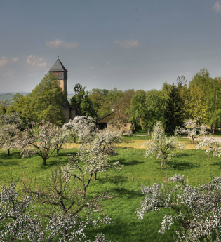 Ottilienberg Eppingen | Naturpark Stromberg-Heuchelberg  HeilbronnerLand | © Stadt Eppingen