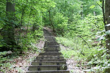 Himmelsleiter, Eppinger Hardwald, Treppenstufen mit bewaldetem Bewuchs | © Land der 1000 Hügel - Kraichgau-Stromberg