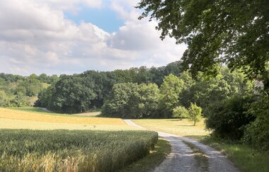 EP2 - Rund um den Ottilienberg mittlere Runde | © Land der 1000 Hügel - Kraichgau-Stromberg