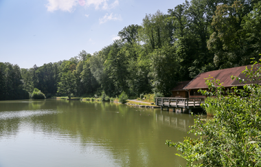 EP2 - Rund um den Ottilienberg mittlere Runde | © Land der 1000 Hügel - Kraichgau-Stromberg
