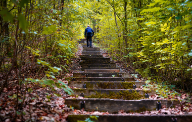 Himmelsleiter am Wander3Klang Eppingen | HeilbronnerLand | © Touristikgemeinschaft HeilbronnerLand