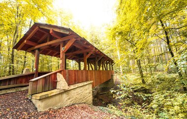 Wandergebiet Ottilienberg | Wander3Klang Eppingen | HeilbronnerLand | © Touristikgemeinschaft HeilbronnerLand