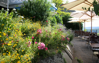 EP4 - Stadtbahnwandern Eppingen-Sulzfeld | © Land der 1000 Hügel - Kraichgau-Stromberg