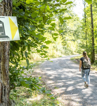 Eppinger-Linien-Weg: Kunst. Natur. Geschichte. | © Nicole Hagemann & Marco Emminger