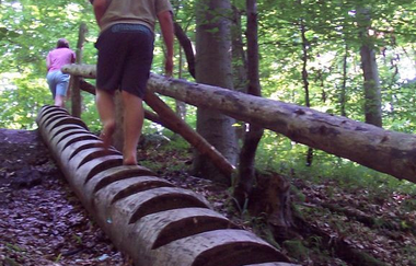 Eppinger Waldstation - Besucher/Kinder auf Stamm-Treppe | © Land der 1000 Hügel - Kraichgau-Stromberg