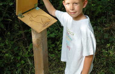 Erlebnispfad Heuchelberger Wald Leingarten | HeilbronnerLand | © Stadt Leingarten