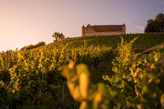 Burg Stettenfels | Untergruppenbach | HeilbronnerLand | © Tourisitkgemeinschaft HeilbronnerLand