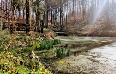 Rastplatz Koppenbrünnele | Untergruppenbach im HeilbronnerLand | © Touristikgemeinschft HeilbronnerLand e.V.