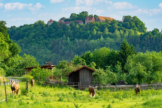 Experience Route 10: Border Experiences | © Liebliches Taubertal