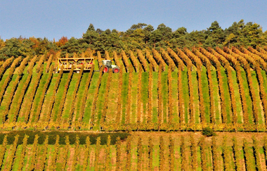 Erlebnistour 9: Durchs Wachbach- und Vorbachtal | © Liebliches Taubertal