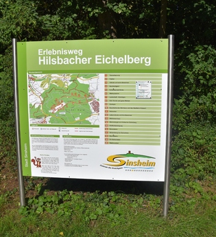 Erlebnisweg Hilsbacher Eichelberg | © Stadt Sinsheim