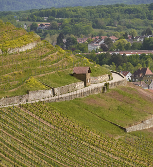 Erlebnisweg Rosen & Wein Weinsberg