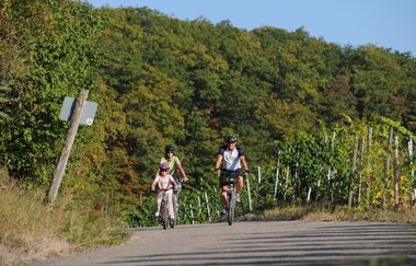 Eselsburg-Rundweg | © Land der 1000 Hügel - Kraichgau-Stromberg