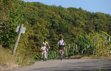 Eselsburg-Rundweg | © Land der 1000 Hügel - Kraichgau-Stromberg