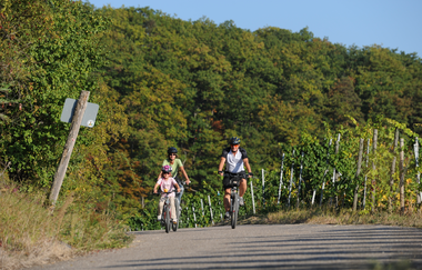 Eselsburg-Rundweg | © Land der 1000 Hügel - Kraichgau-Stromberg