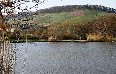 Eselsburg-Rundweg | © Land der 1000 Hügel - Kraichgau-Stromberg