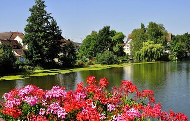 Etappe 1: Niederstetten - Ingelfingen | Württemberger Weinradweg | © TLT Tom Weller
