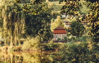 Etappe 2 - Weinhänge am Kocher | © Arbeitsgemeinschaft Kocher-Jagst-Radweg