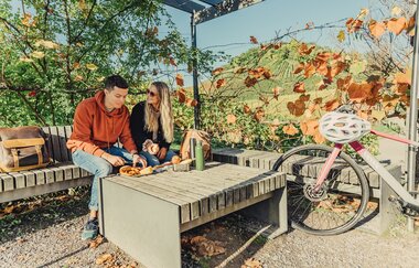 Rastplatz Burgberg | Württemberger Weinradweg | HeilbronnerLand | © Touristikgemeinschaft HeilbronnerLand