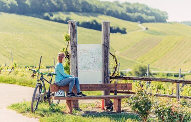 Radfahren am Wartberg | Heilbronn | HeilbronnerLand | © Touristikgemeinschaft HeilbronnerLand