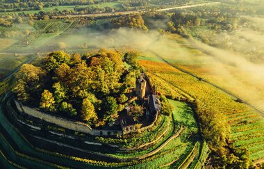 Burgruine Weibertreu | Weinsberg | HeilbronnerLand | © Touristikgemeinschaft HeilbronnerLand