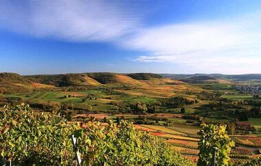 Blick vom Scheuerberg über das Weinsberger Tal | Weinsüden Weinort Erlenbach | HeilbronnerLand | © Tourismus im Weinsberger Tal