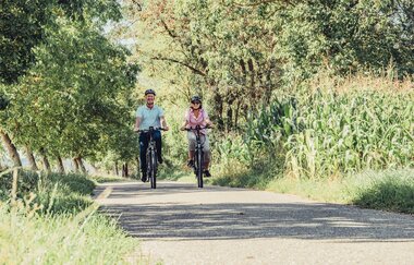 Unterwegs auf dem Württemberger Weinradweg | HeilbronnerLand | © Touristikgemeinschaft HeilbronnerLand