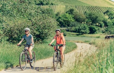 Schwaigern Wuerttemberger Weinradweg Leinbachtal | HeilbronnerLand | © Touristikgemeinschaft HeilbronnerLand e.V.