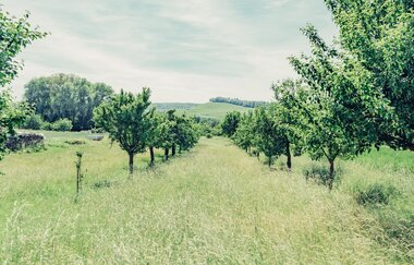 Württemberger Weinradweg | HeilbronnerLand | © Touristikgemeinschaft HeilbronnerLand