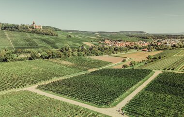 Weinlandschaft am Württemberger Weinradweg | HeilbronnerLand | © Touristikgemeinschaft HeilbronnerLand