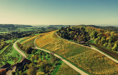 Weinlandschaft im Naturpark Schwäbisch-Fränkischer Wald | Beilstein | HeilbronnerLand | © Touristikgemeinschaft HeilbronnerLand e.V.