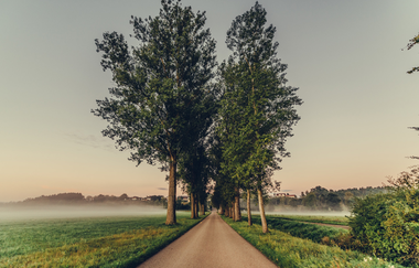 Etappe 6 - Allee im Nebel bei Ellwangen-Saverang | © Arbeitsgemeinschaft Kocher-Jagst-Radweg