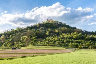 Eine Kapelle auf einem Hügel mit Bäumen und Weinbergen. | © Tourismusförderung Landkreis Tübingen /Hammer
