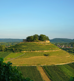 Burgruine Weibertreu | Weinsberg | HeilbronnerLand | © Tourismus im Weinsberger Tal e.V.