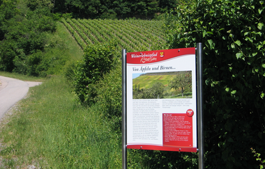 Etappe Obersulm - Weinsberg | Württembergischer Weinwanderweg | © Touristikgemeinschaft HeilbronnerLand e.V.