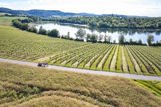 Etappe Öhringen - Weinsberg | Württemberger Weinradweg | © Touristikgemeinschaft Heilbronner Land