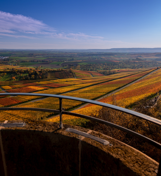 Ausblick von der  Heuchelberger Warte | Leingarten | HeilbronnerLand | © Touristikgemeinschaft HeilbronnerLand
