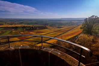 Ausblick von der  Heuchelberger Warte | Leingarten | HeilbronnerLand | © Touristikgemeinschaft HeilbronnerLand