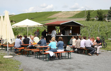 Etappe Weinsberg - Talheim | Württembergischer Weinwanderweg | © Touristikgemeinschaft HeilbronnerLand e.V.