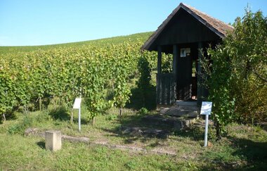 Etappe Weinsberg - Talheim | Württembergischer Weinwanderweg | © Touristikgemeinschaft HeilbronnerLand e.V.