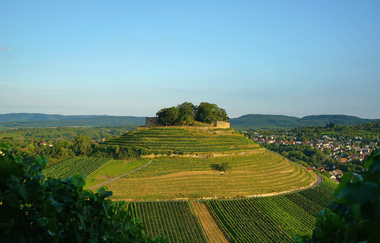 Burgruine Weibertreu | Weinsberg | HeilbronnerLand | © Tourismus im Weinsberger Tal e.V.