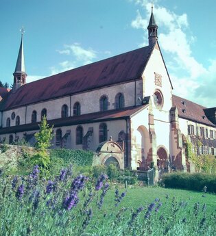 Europäischer Kulturweg: Vom Burgensaal zum Klosterglanz - Beim Hollebaum und Pfeiferhans | © Eigenbetrieb Kloster Bronnbach