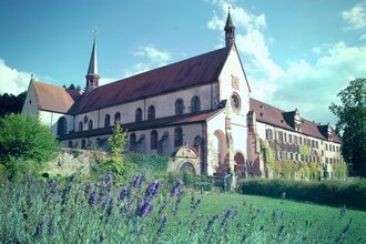 Europäischer Kulturweg: Vom Burgensaal zum Klosterglanz - Beim Hollebaum und Pfeiferhans | © Eigenbetrieb Kloster Bronnbach