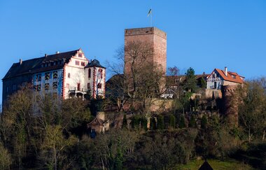 Europäischer Kulturweg: Vom Burgensaal zum Klosterglanz - Beim Hollebaum und Pfeiferhans | © TOURISMUS REGION WERTHEIM GmbH