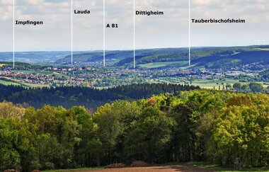 Europäischer Kulturweg: Vom Burgensaal zum Klosterglanz - Beim Hollebaum und Pfeiferhans | © TOURISMUS REGION WERTHEIM GmbH