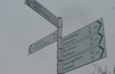 Evolutionsweg | © gbs Rhein-Neckar e.V.
