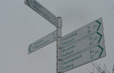 Evolutionsweg | © gbs Rhein-Neckar e.V.