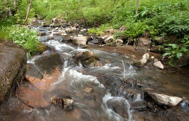 Familientour durchs Steinachtal | © Landratsamt Rhein-Neckar-Kreis