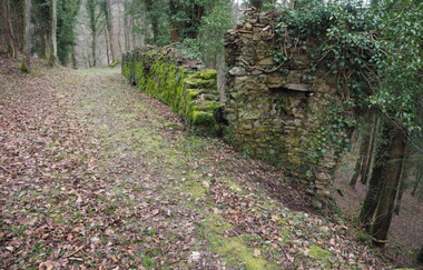 Familientour durchs Steinachtal | © Gemeinde Heiligkreuzsteinach